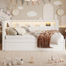 Upholstered Platform Bed With USB Ports And LED Belt