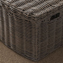 Joseph - Rectangular Curve Resin Woven Wicker Trunk With Handles Multi Purpose Storage - Walnut Brown