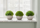 5" Tall, Artificial Plant, Grass, Indoor, Faux, Fake, Table, Greenery, Potted, Decorative (Set of 3) - Green / Gray