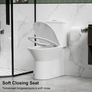 1 Piece Toilet With Dual Flush & Rimless Bowl - Glossy White