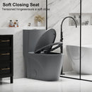 1 Piece Toilet With Tornado Flush, Dual Flush, And ADA Height Comfort Chair