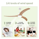 Indoor Outdoor Ceiling Fan With Light With Remote Control, Noiseless Reversible Motor, 6 Speed, 3 Color