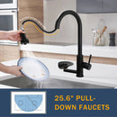 3 In 1 Kitchen Faucet With Press Type Glass Rinser, High Arc Pull Down Sprayer