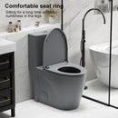 1 Piece Toilet With Tornado Flush, Dual Flush, And ADA Height Comfort Chair