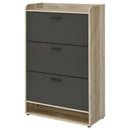 Denia - 3-Tier Engineered Wood Shoe Cabinet