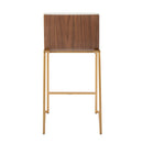 Mason Mara - Contemporary Design Fixed Height Counter Stool (Set of 2)