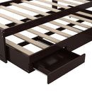 Platform Bed With LED Headboard, Charging Station, Trundle And 2 Drawers