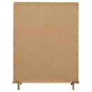 Arini - 5-Drawer Bedroom Chest