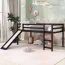Loft Bed With Slide, Multifunctional Design