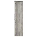 Alejo - 2 Door Engineered Wood Tall Cabinet - Gray Driftwood - Atlantic Fine Furniture Inc