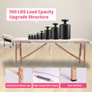 Portable Massage Table Bed With Carrying Case