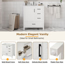 Modern Bathroom Vanity With Ceramic Sink, Solid Frame And Storage Solutions