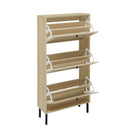 Modern Rattan 3 Door Shoe Rack Cabinet For Entryway