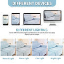 Elegant Sofa With Ergonomic Design And Lumbar Pillows