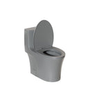 1 Piece Toilet With Dual Flush And Soft Closing Seat