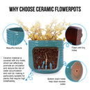 Versatile Flowerpot, Planter For Patio, Garden, Windowsill