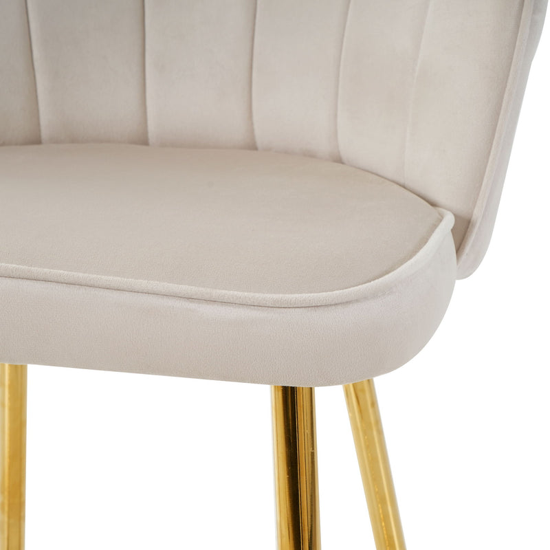 Elegant Shell Shape Velvet Bar Chair (Set of 2)