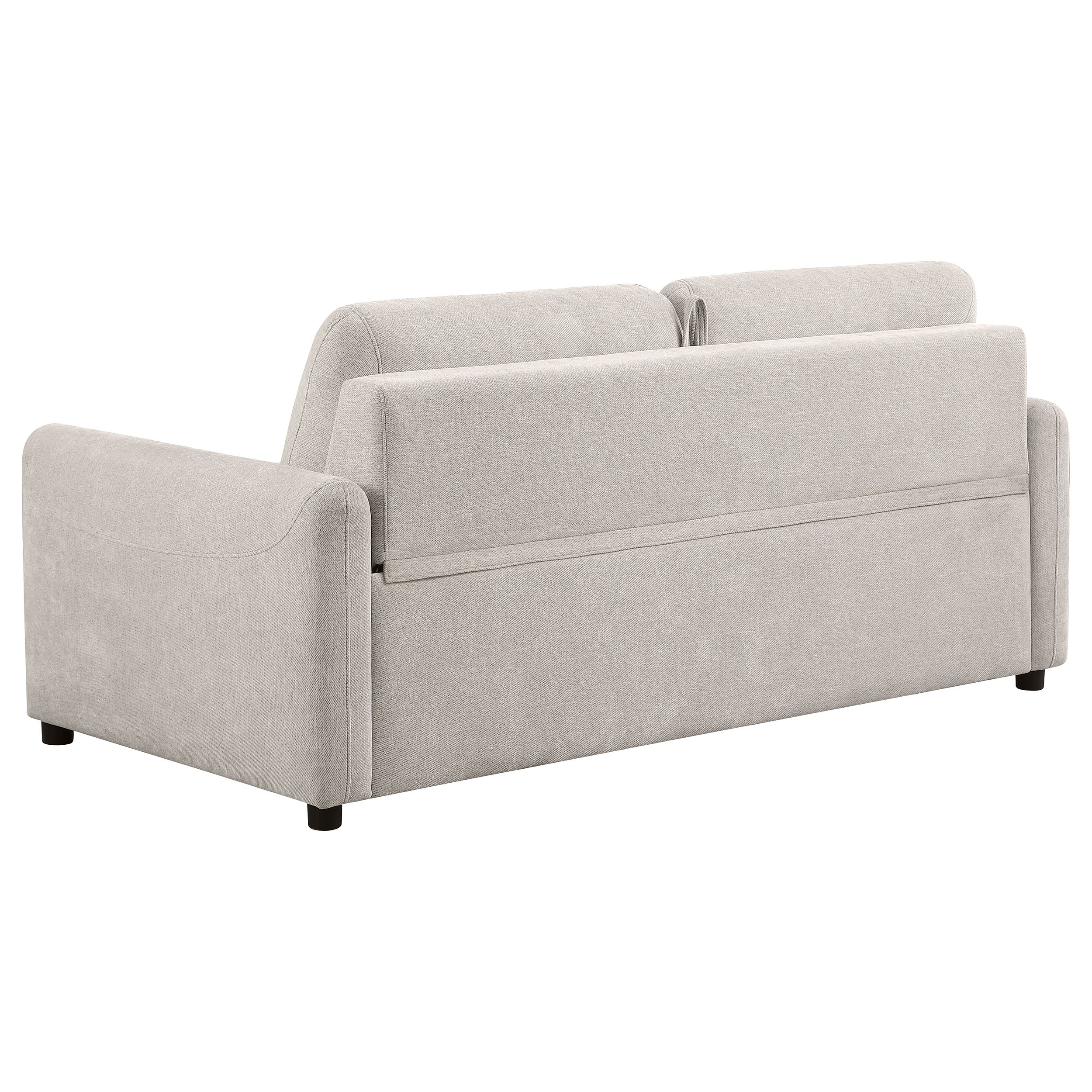 Rylie Upholstered Sofa Sleeper with Queen Mattress Beige — view 8