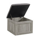 Uster - 2 Piece Occasional Set (Coffee Table And End Table) - Light Gray