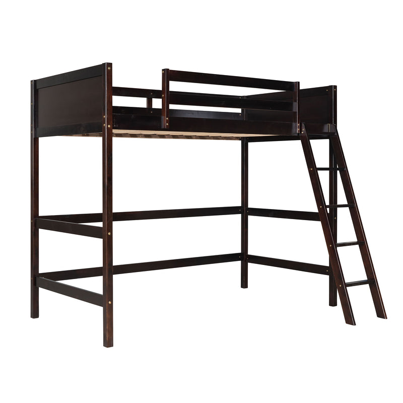 Loft Bed With Ladder