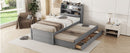 LED Platform Bed With Trundle With Storage Headboard With Drawers