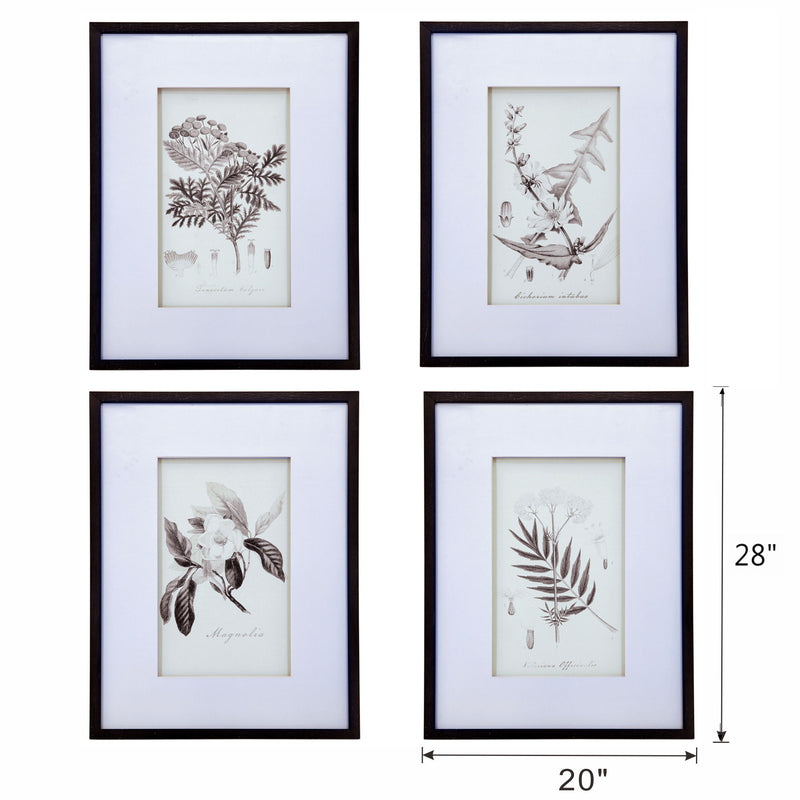 Botanical Wall Art Prints, Home Decor For Living Room, Dining Room, Bedroom, Hallway (Set of 4) - White / Black