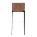 Mason Mara - Contemporary, Fixed Height Barstool (Set of 2)