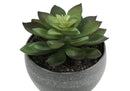 6" Tall, Artificial Plant, Succulent, Indoor, Faux, Fake, Table, Greenery, Potted, Decorative (Set of 3) - Green / Gray