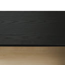 Storage Cabinet With Door For Living Room, Dining Room - Black