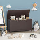 Toy Box Storage With Safety Hinged Lid