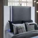 Moon - Bed & LED Accent Lighting