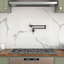 Modern Design Pot Filler Faucet Wall Mount Kitchen Sink, Folding Stretchable