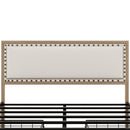 Queen Size Upholstered Platform Bed with Nailhead Decoration and 4 Drawers, Brown