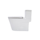 1 Piece Toilet For Bathroom, Dual Flush 1.24 / 1.43 Gpf, Soft Closing Seat - White