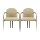 Modern Dining Chair (Set of 2) With Iron Frame - Espresso / Khaki