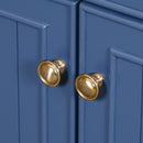 Bathroom Vanity, Transitional Style Bathroom Cabinet With Resin Sink, Single Bathroom Cabinet, With 2 Drawers And 1 Adjustable Storage Shelf, 2 Soft-Close Doors