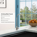 Modern Design Lead Free Drinking Water Faucet - Brushed Nickel