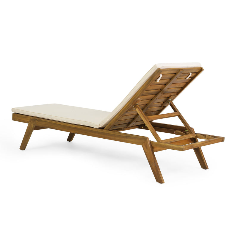 Nebulon - Outdoor Adjustable Chaise Lounge With Water Resistant Cushions (Set of 2)