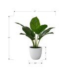 17" Tall, Artificial Plant, Aureum, Indoor, Faux, Fake, Table, Greenery, Potted, Real Touch, Decorative - Green / White