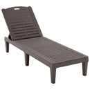 2 Piece Outdoor Chaise Lounges With Adjustable Backrest