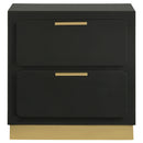 Modern Luxury Nightstand With 2 Drawer Storage