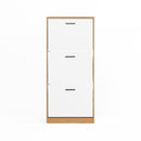 Modern Freestanding Shoe Storage Cabinet With 3 Flip Drawers