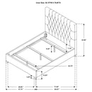 Chloe - Upholstered Panel Bed