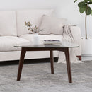 Modern Coffee Table With Wood Construction And Compact Design
