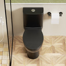 1 Piece Toilet With Tornado Flush, Soft Closing Seat