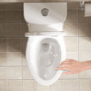 1 Piece Toilet With Tornado Flush, Soft Closing Seat