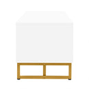 Modern TV Stand With Storage For Living Room