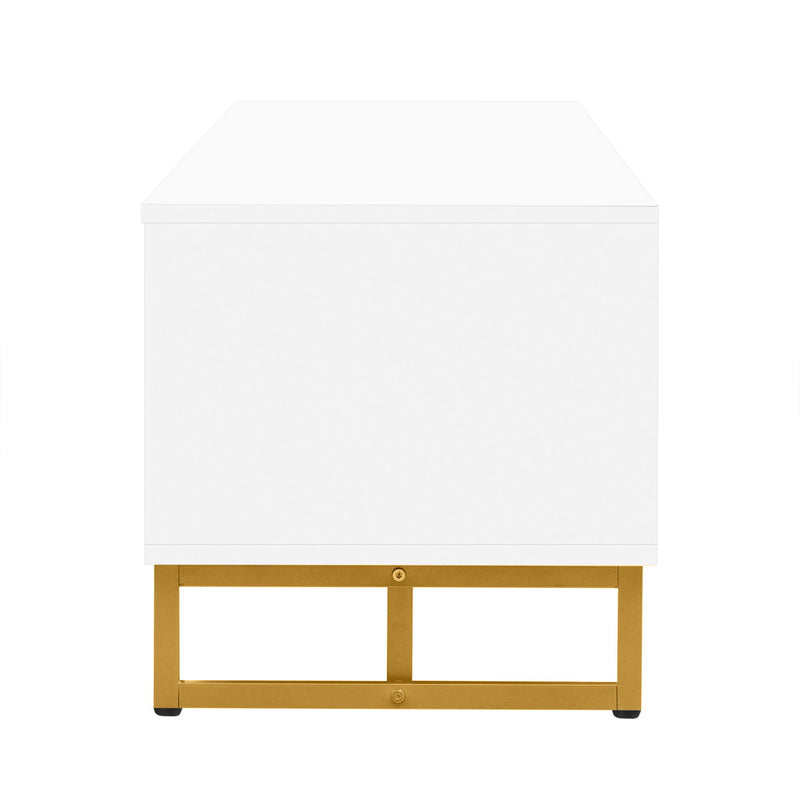 Modern TV Stand With Storage For Living Room