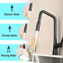 Professional Kitchen Faucet With 3 Function 360 Sprayer And 1 Touch Switching