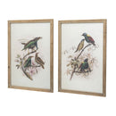 Bird Framed Print (Set of 2) - Multicolor